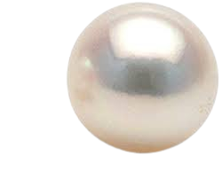 Ratnav__श्री_विनोद_शांडिल्य_-removebg-preview