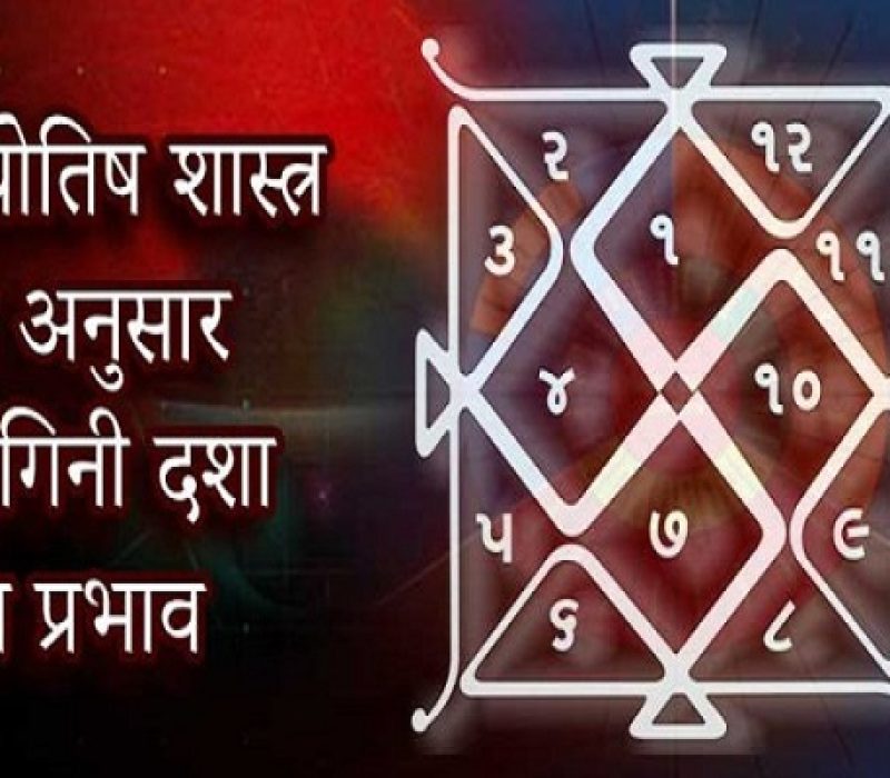 योगिनी दशा विशेषज्ञता